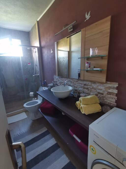 Apartment Zara Funtana Buitenkant foto